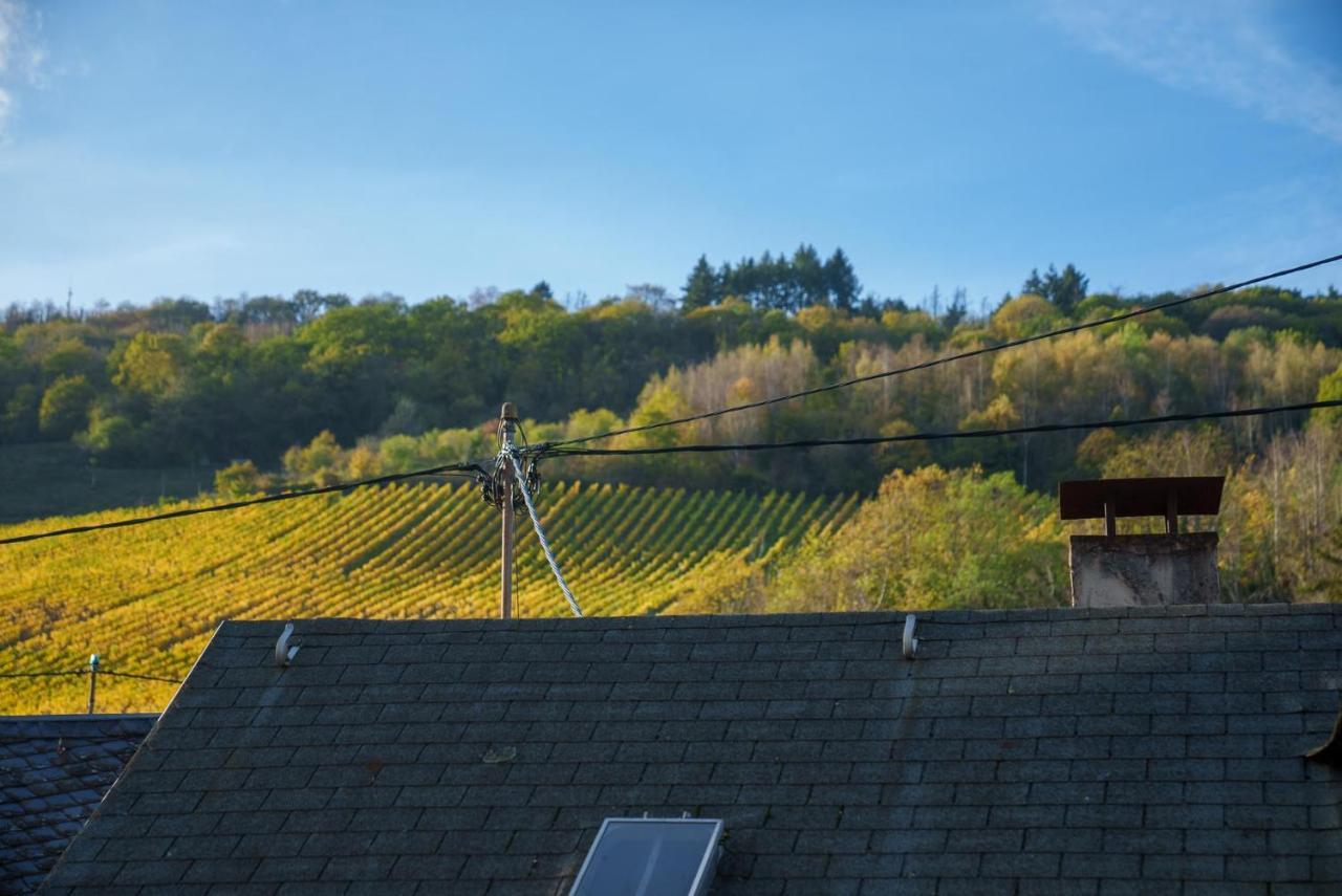 Apartamento Grünberg House Traben-Trarbach Exterior foto